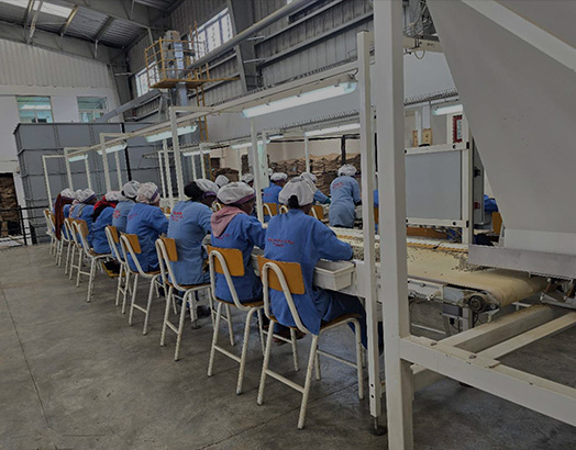 Hand Picking