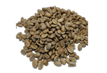 Green coffee processing plant