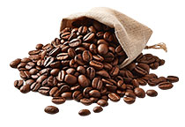 Green coffee processing plant