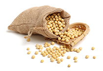 Seeds cleaning plant