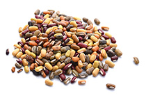 Beans peeling plant