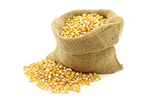 Corn milling plant