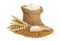 Wheat milling plant